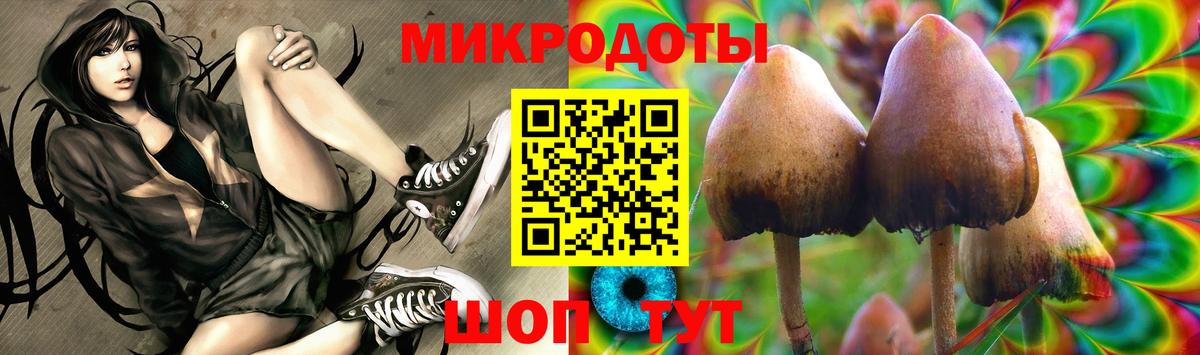 Псилоцибиновые грибы Magic Shrooms  Вход с VPN  Альметьевск  как найти наркотики  Галлюциногенные грибы мухоморы 